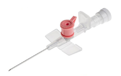 IV Catheter